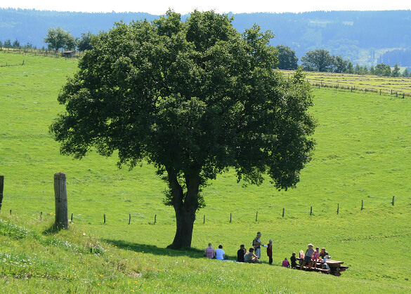 Accueil - Chèque Waloco - photo 29